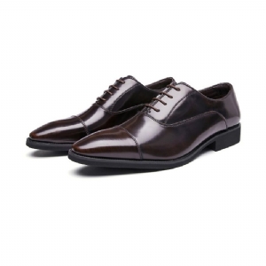 Sapatos Formais Masculinos Oxford Couro Vaca Bico Fino