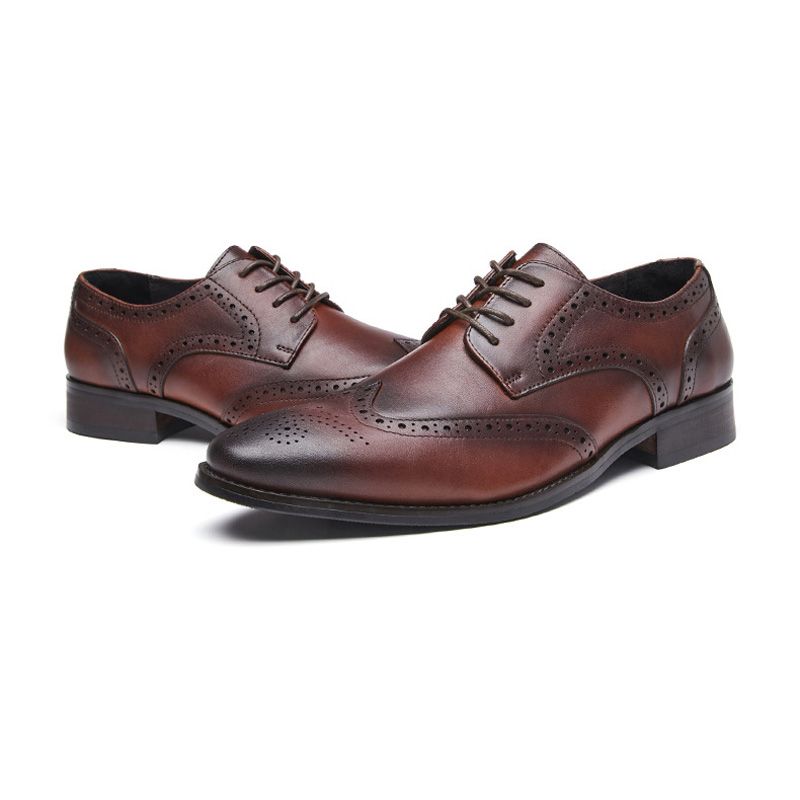 Sapatos Sociais Masculinos Brogue Bico Fino Couro Vaca Esculpido Derby Com Cadarço E 4 Ilhós - Marrom